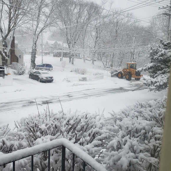 Snow - Picture 4 of 7